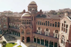 Bidang Pendidikan Terbaik